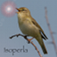 Bird Song Id - Dave Farrow's guide to garden birds